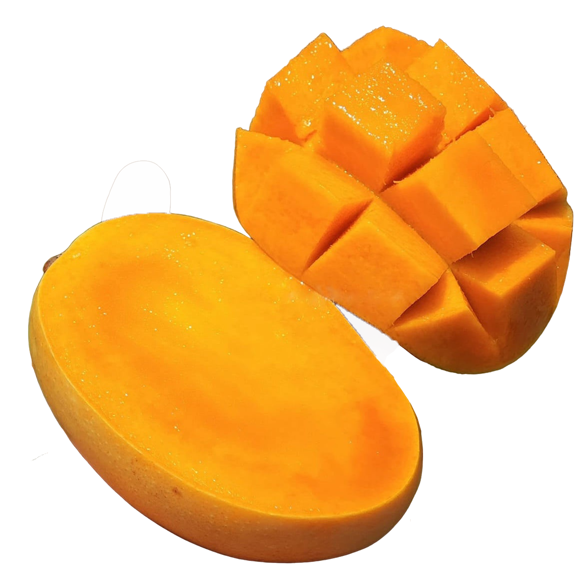 Kesar mango — saffron-coloured pulp from Gir, Gujarat