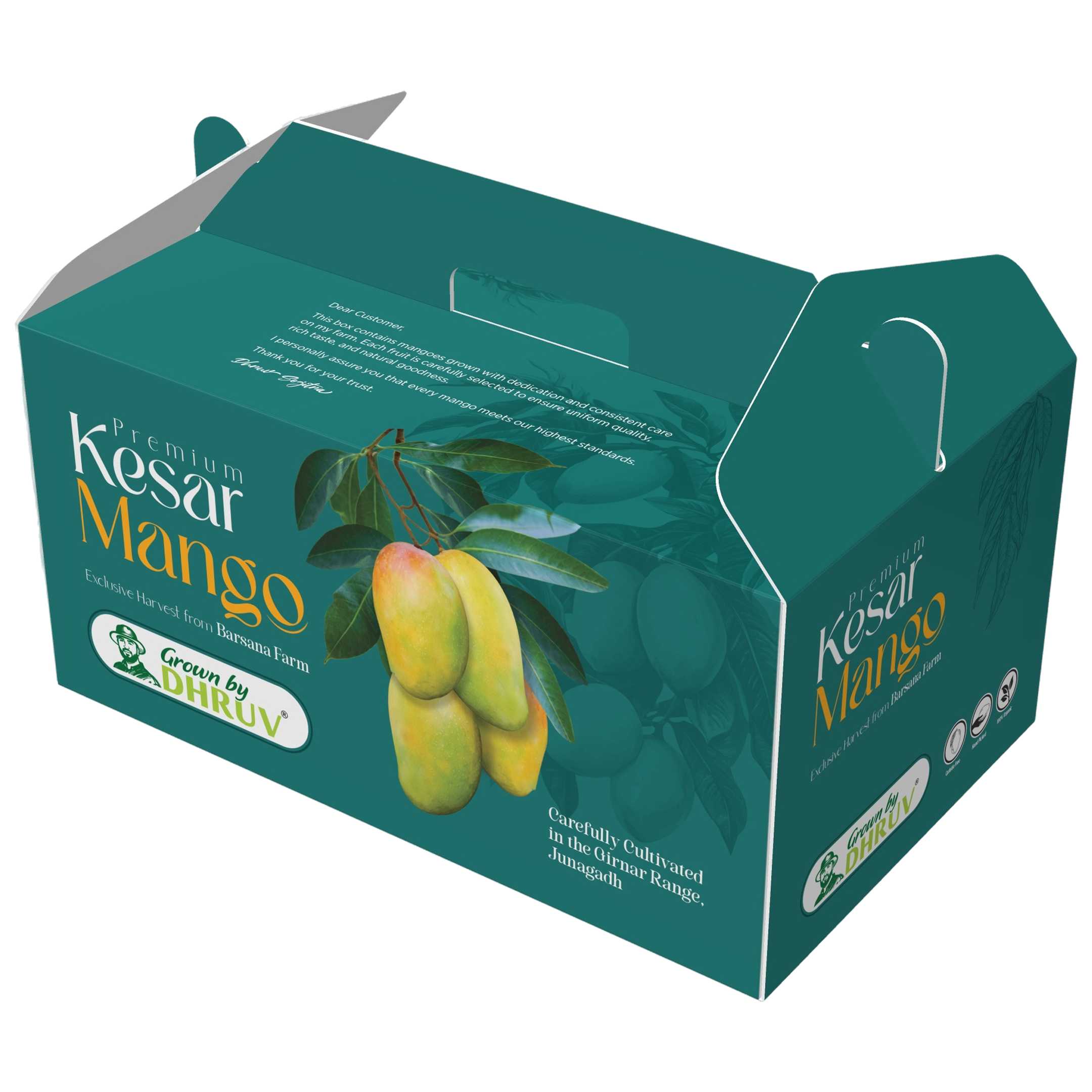 Premium Kesar Mango — Exclusive Harvest carry-box from Barsana Farm